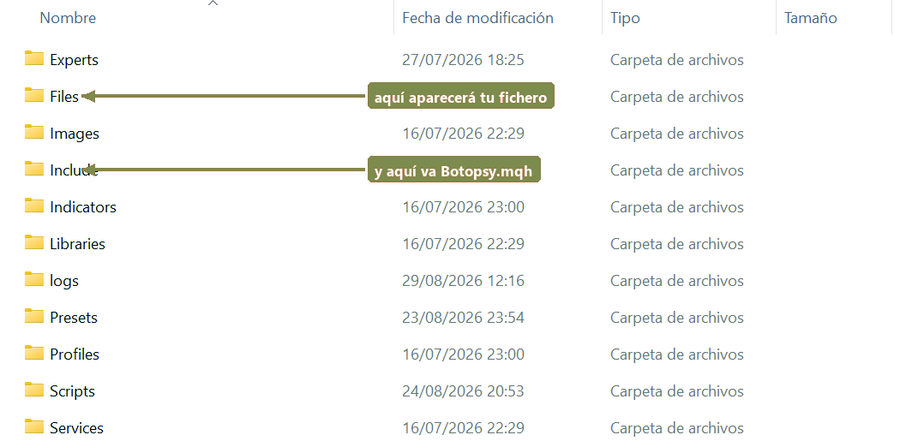 Dentro de MQL5: flechas señalando las carpetas Files e Include